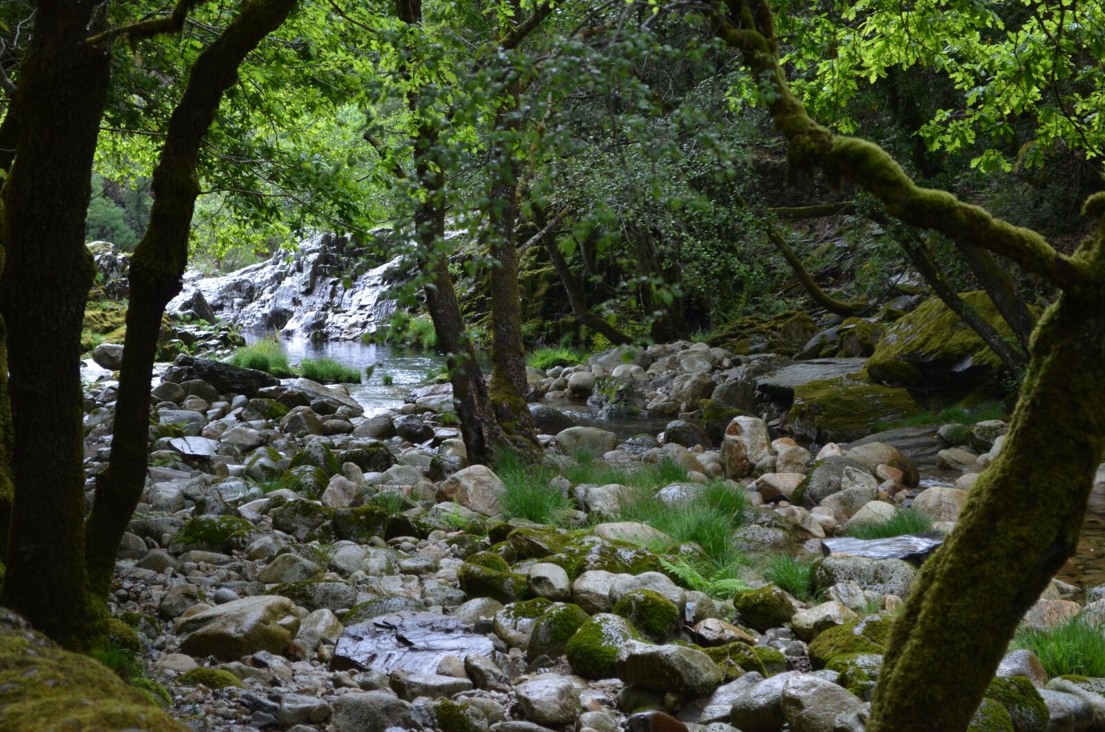 Nikon D5100 sample photo. Rio teixeira, water, nature photography