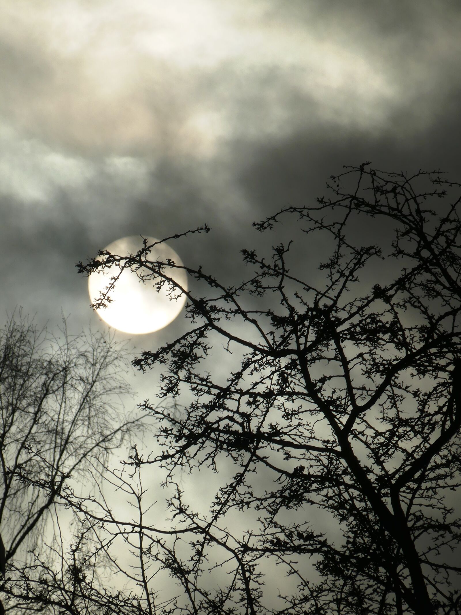 Panasonic Lumix DMC-FZ300 sample photo. Clouds, sun, nature photography