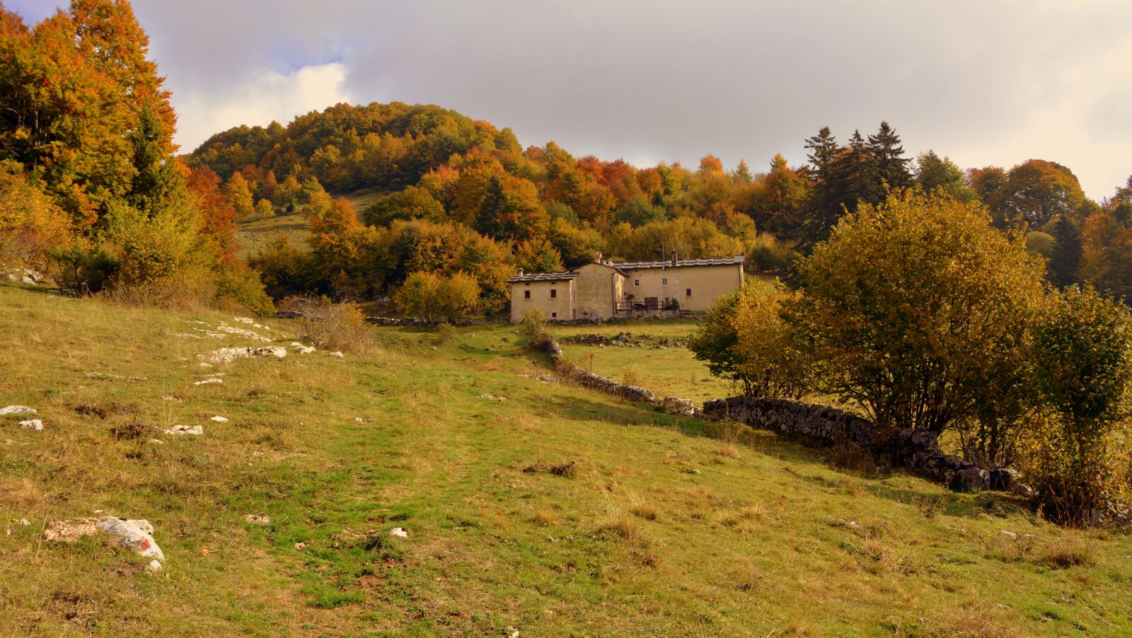 Nikon D7100 sample photo. Excursion, trees, autumn photography