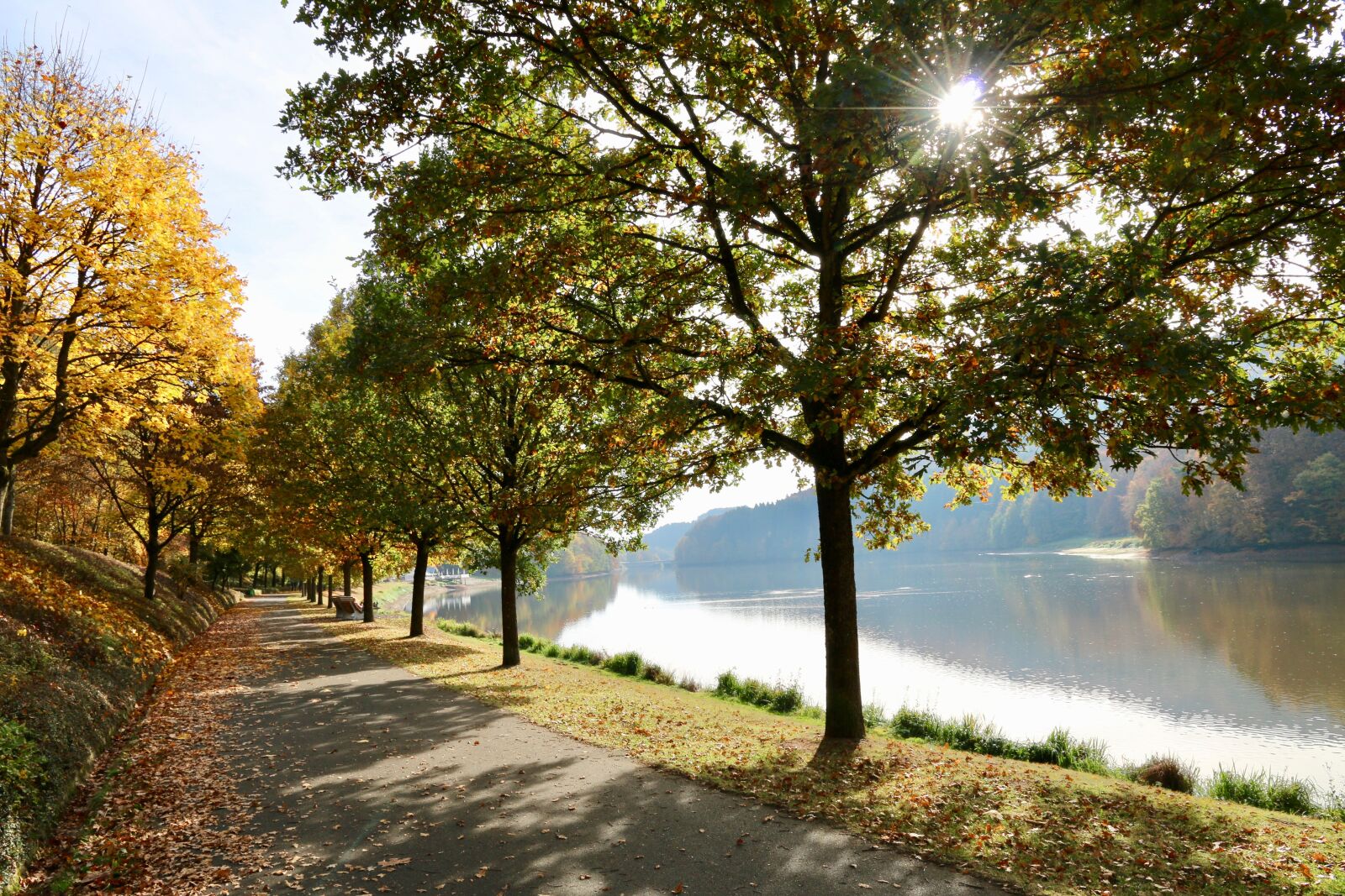 Canon EOS 70D sample photo. Green, light, nature, sun photography