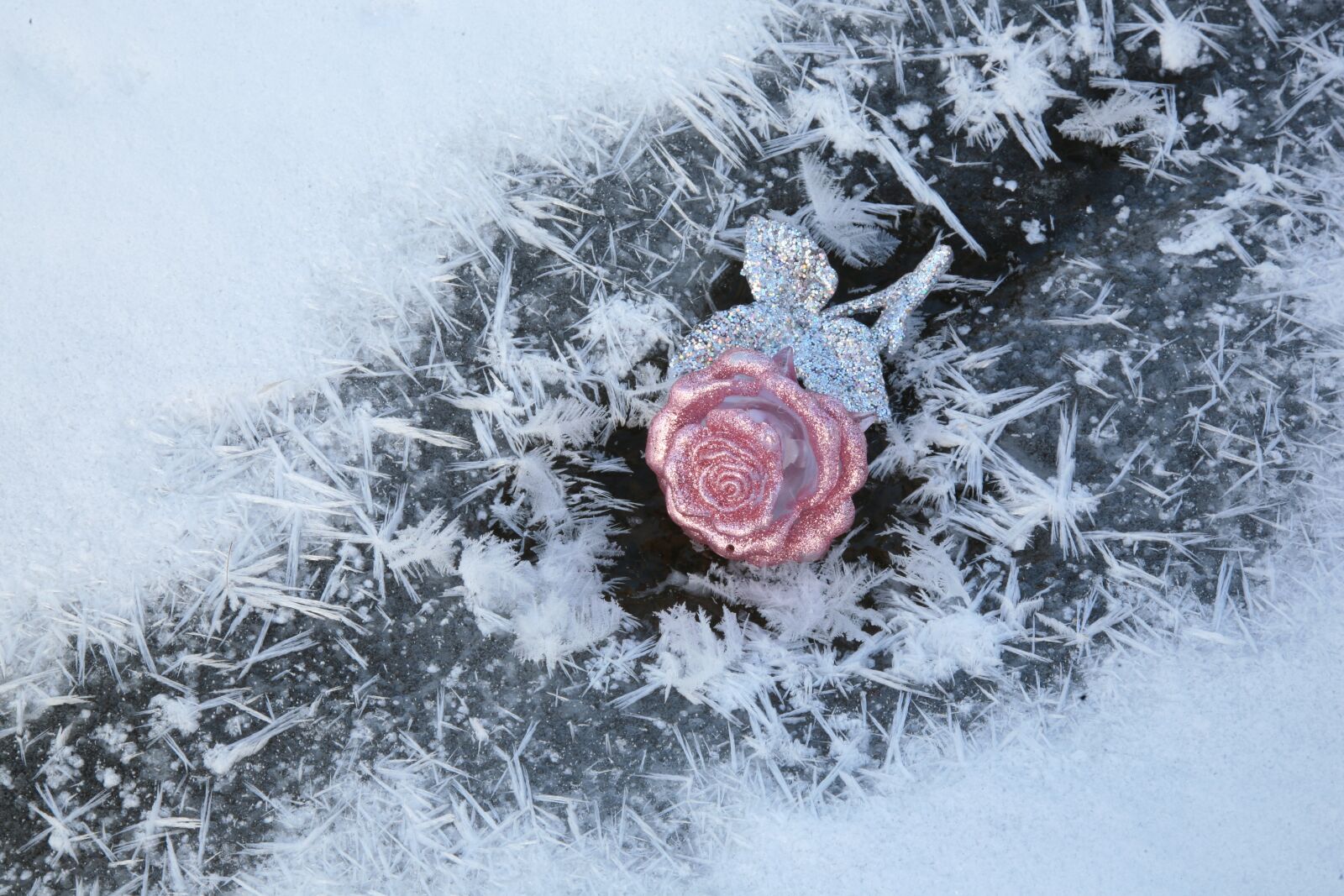 Canon EOS 5D sample photo. Leann, winter, cold photography