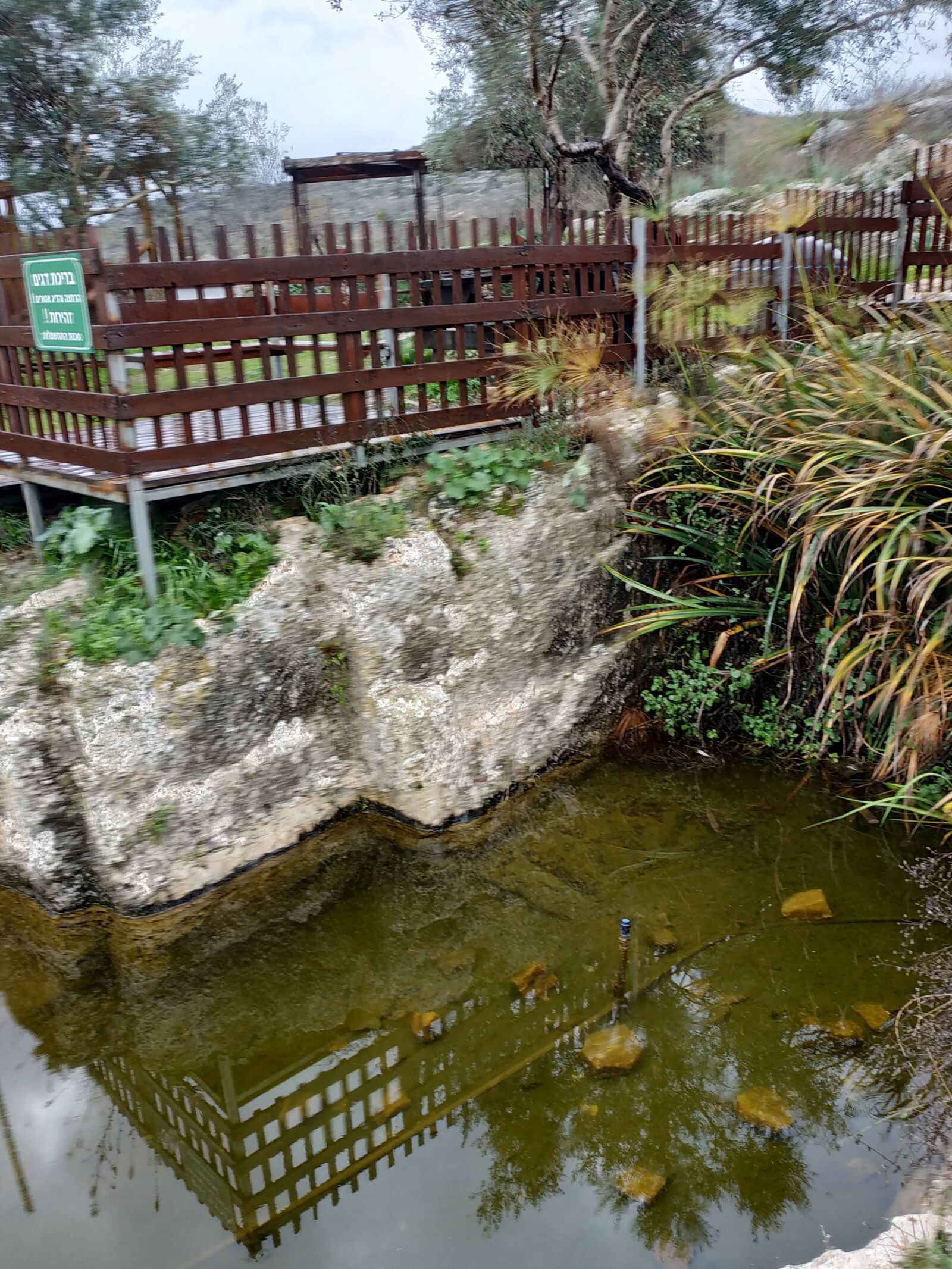 Xiaomi Redmi Note 5 sample photo. Nature, landscape, garden photography
