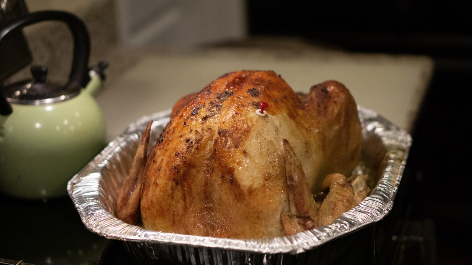 E 50mm F1.8 OSS sample photo. Turkey, thanksgiving, cook photography