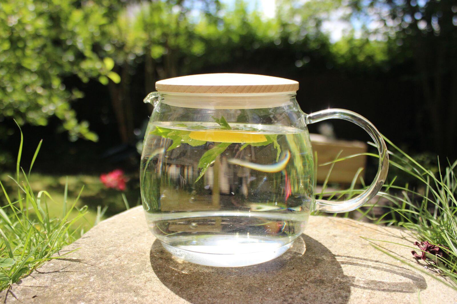 Canon EOS 600D (Rebel EOS T3i / EOS Kiss X5) sample photo. Tea, infusion, fruity water photography