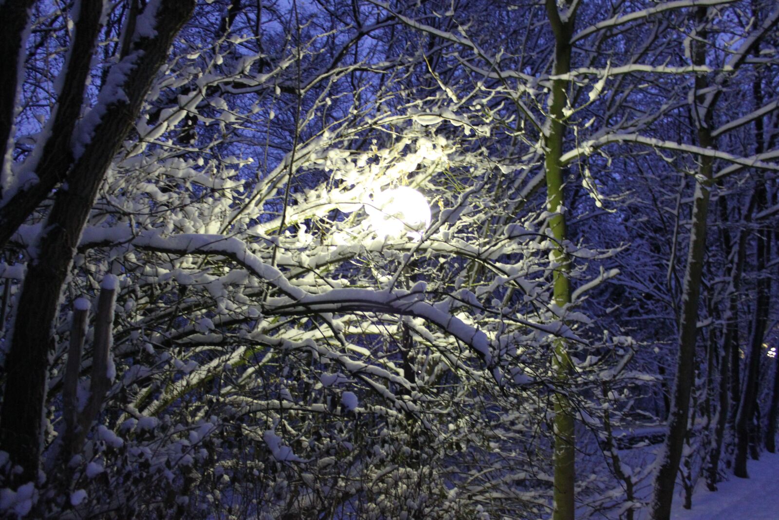 Canon EOS 500D (EOS Rebel T1i / EOS Kiss X3) sample photo. Winter, snow, moon photography