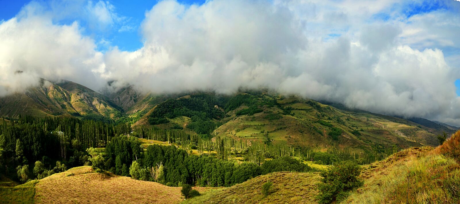 Nikon D5100 sample photo. Nature, landscape, kaçkars photography