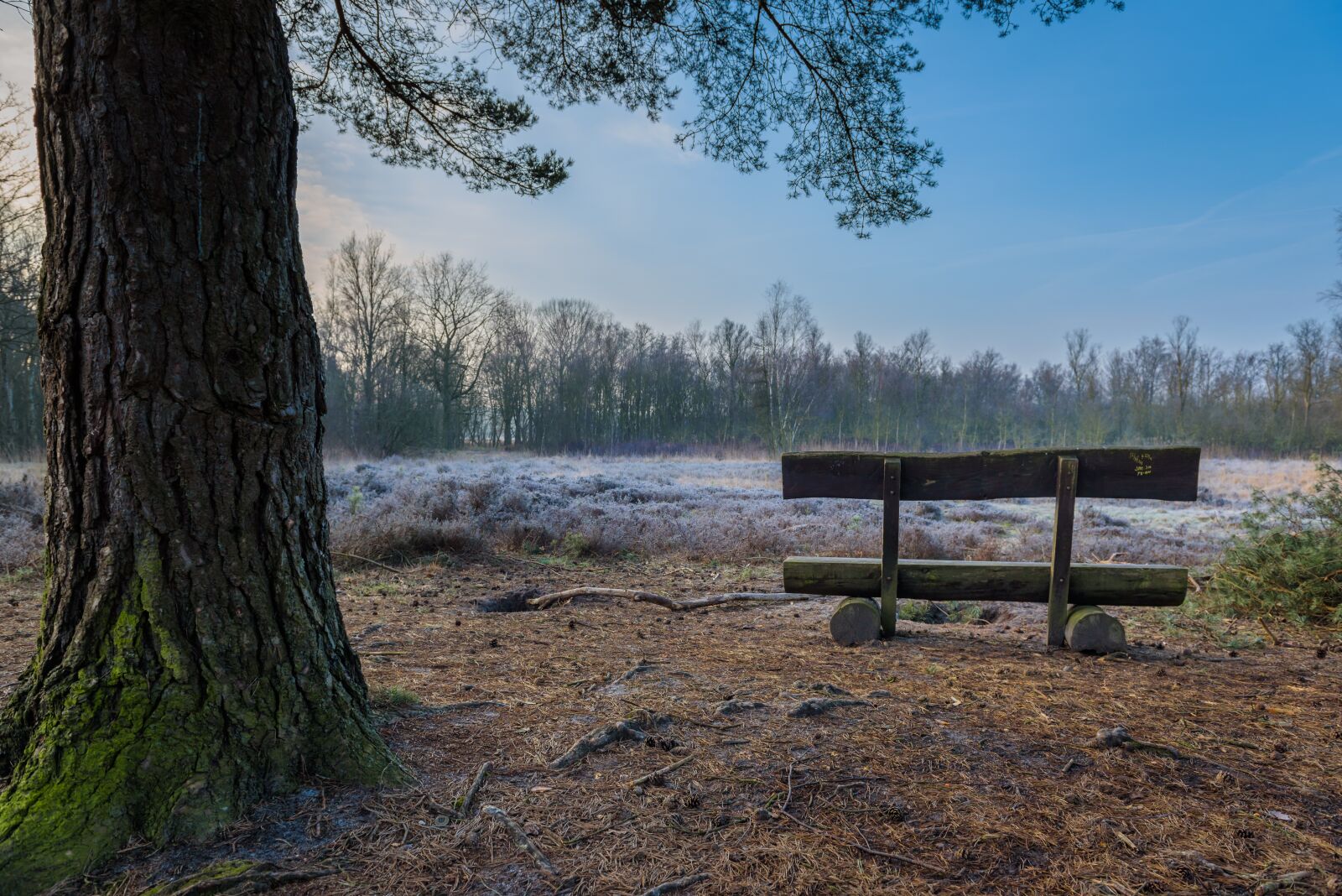 Nikon D750 sample photo. Heathland, bank, view photography