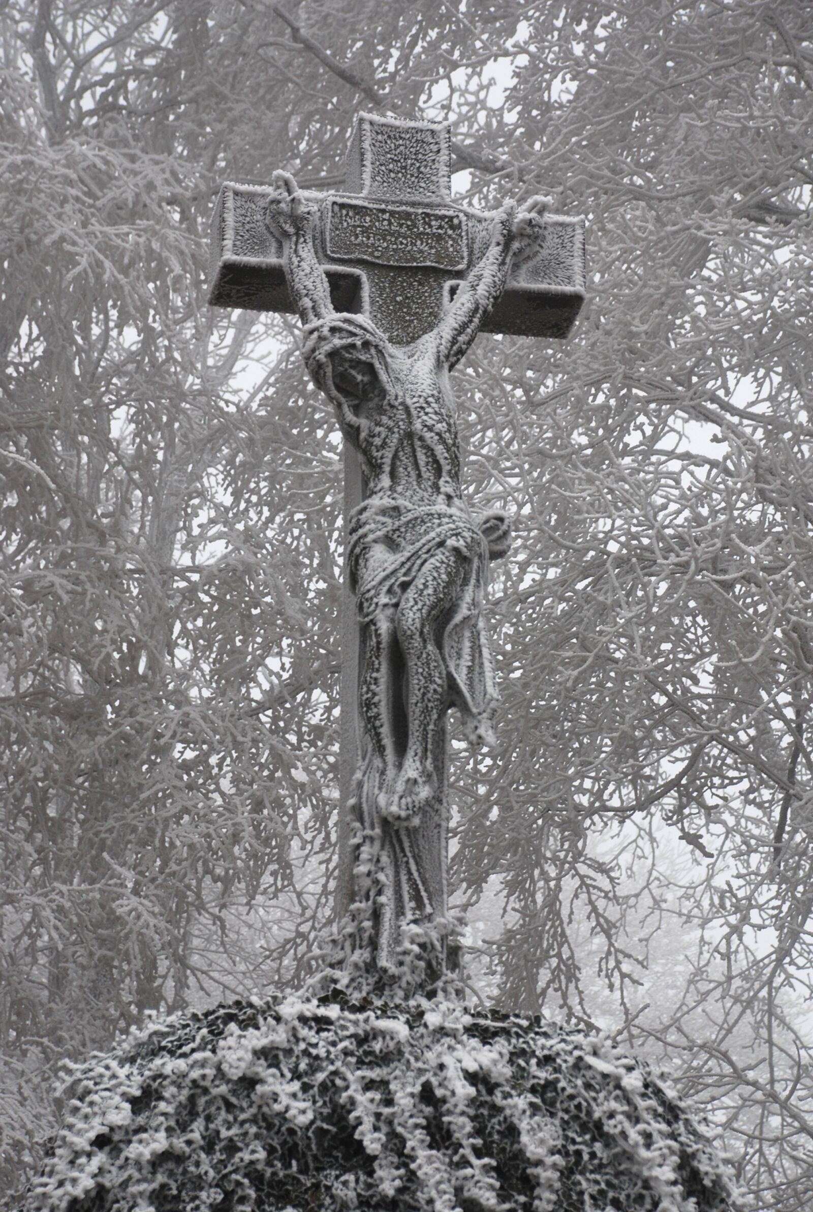 Nikon D80 sample photo. Winter, icing, frost photography