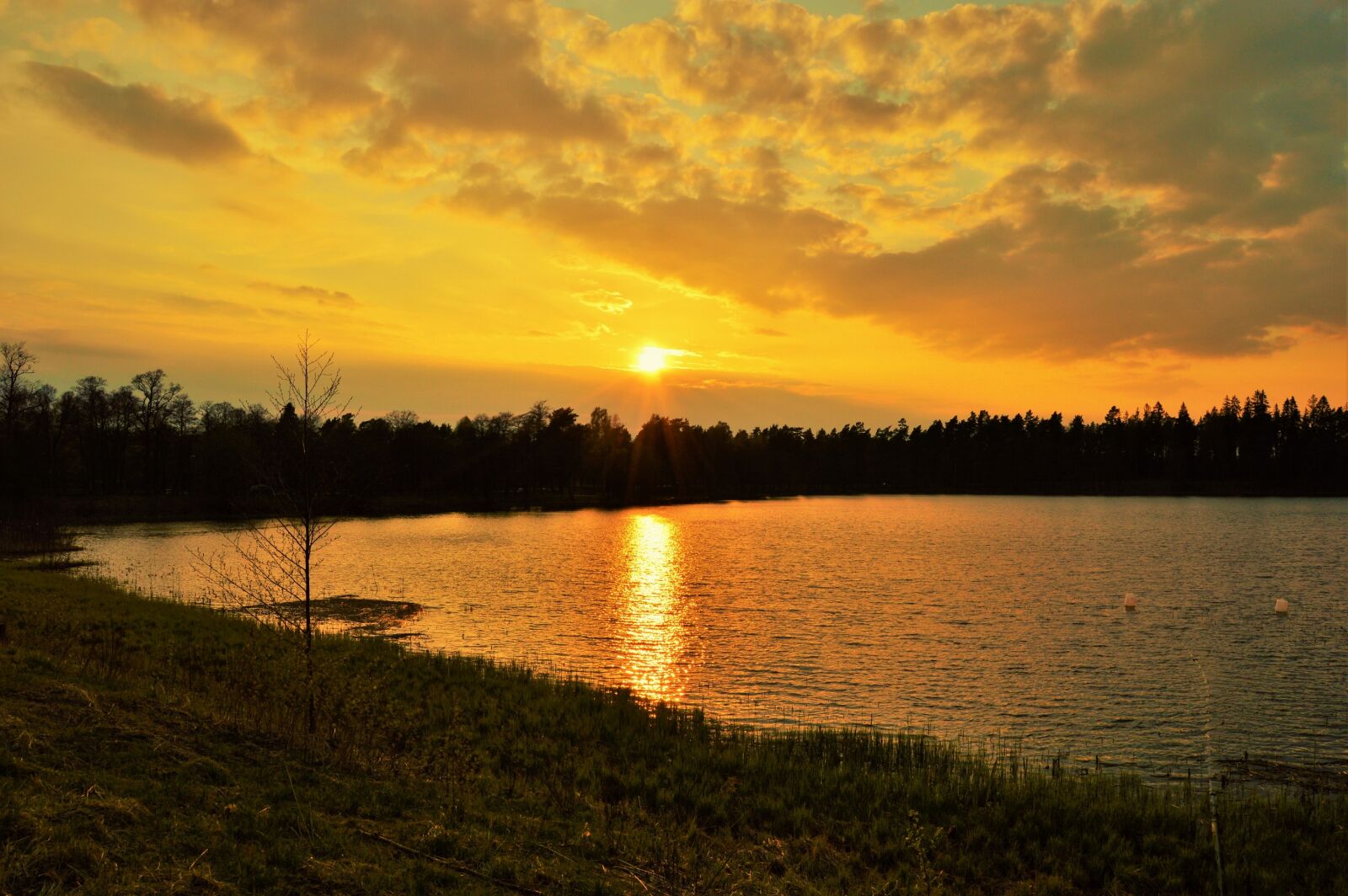 Nikon D3200 sample photo. Evening, forest, lake, nature photography