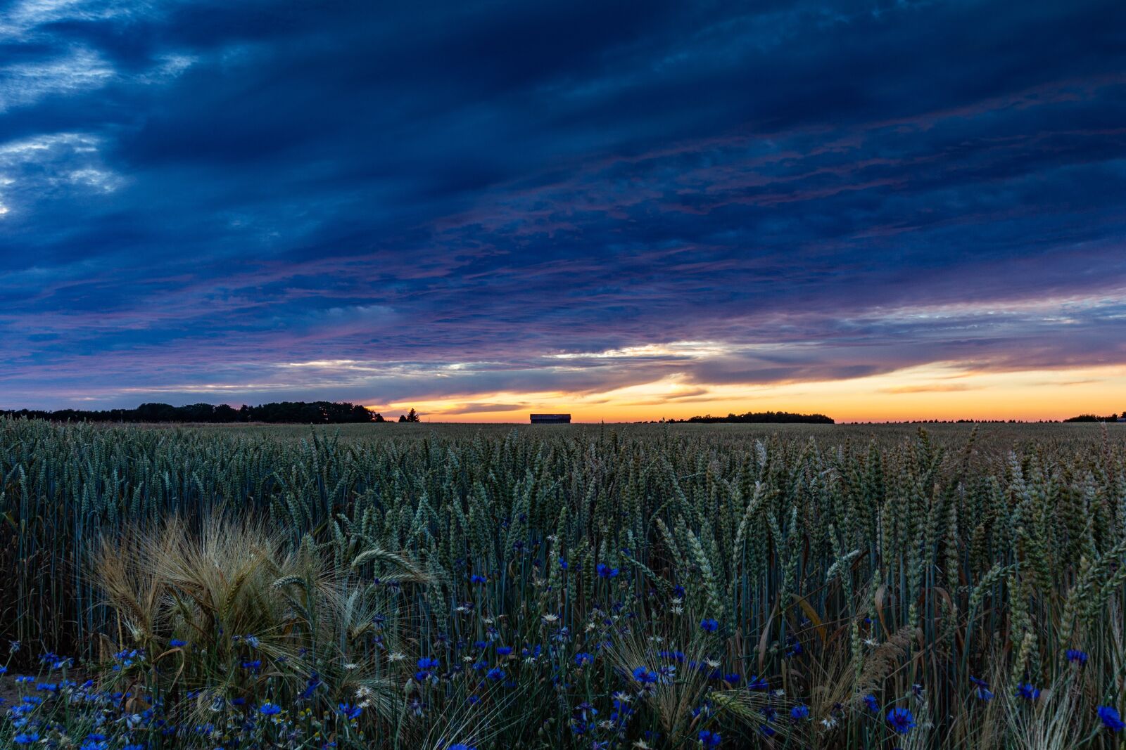 Canon EOS 60D sample photo. Beauty in nature, blue photography
