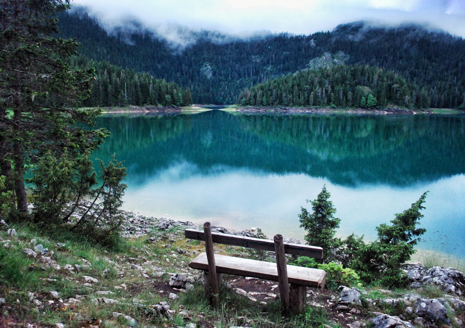 Nikon D60 sample photo. Nature, lake, forest photography