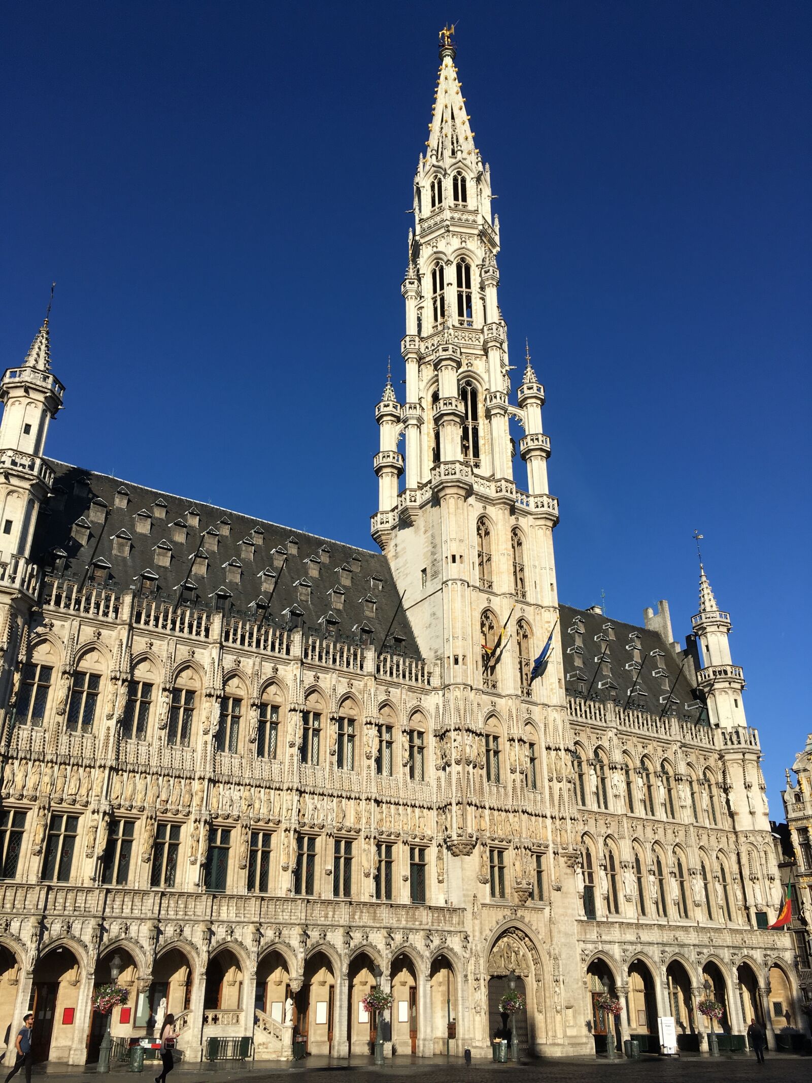 Apple iPhone SE sample photo. Grand place, town hall photography