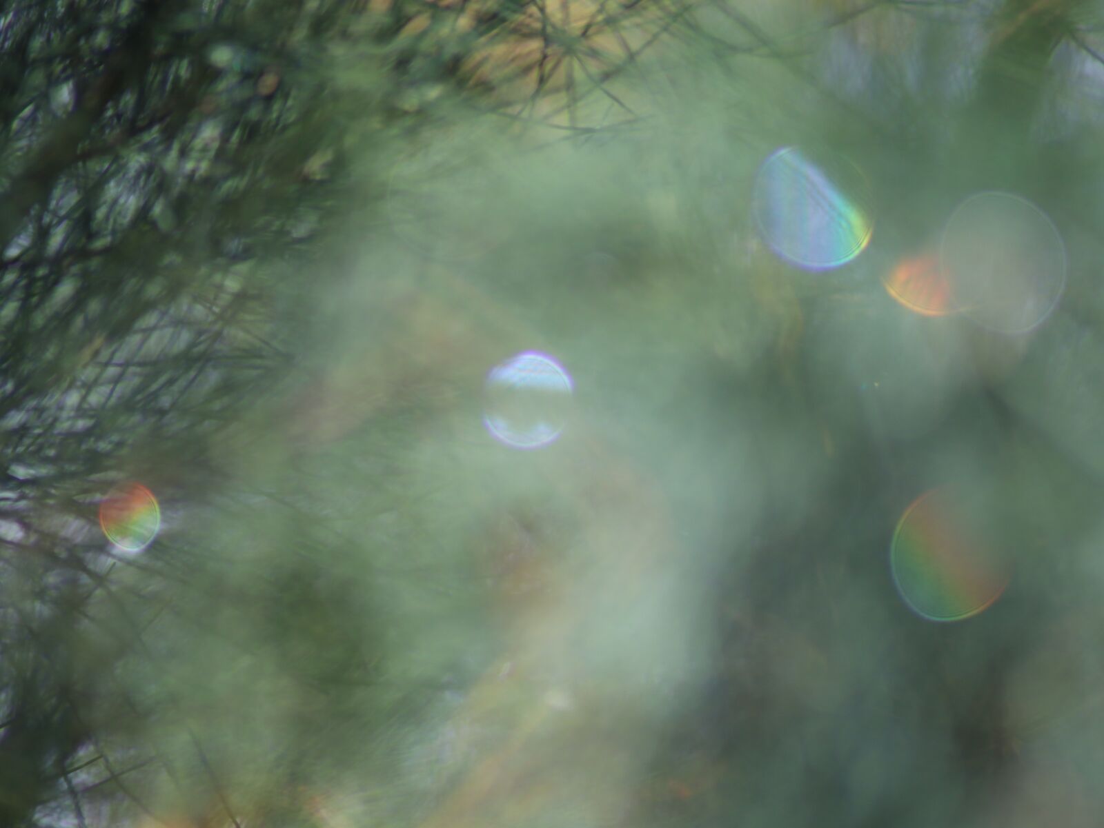 Canon EOS M50 (EOS Kiss M) sample photo. Rain, drop, rainbow photography