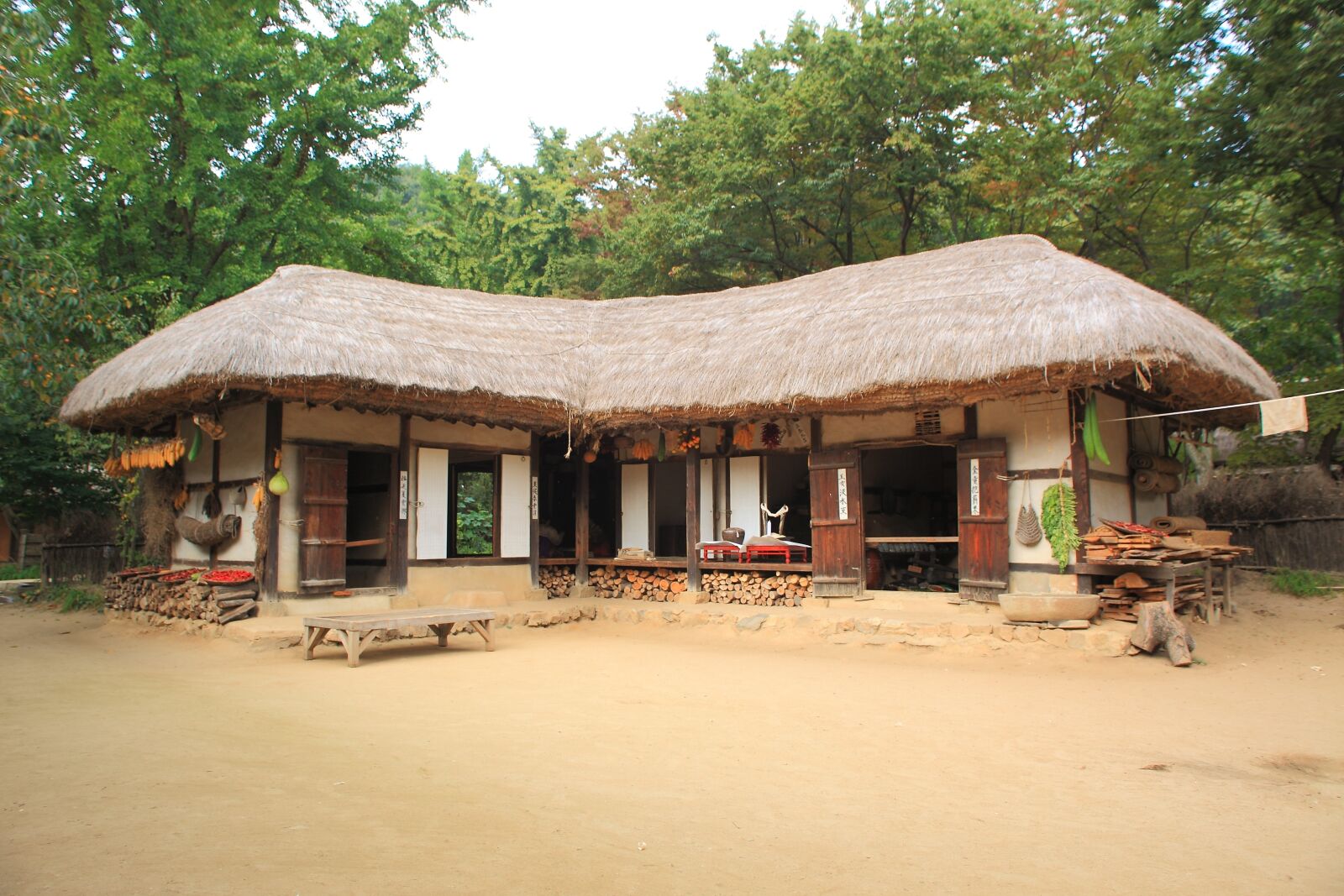 Canon EOS 5D Mark II sample photo. Republic of korea, thatch photography