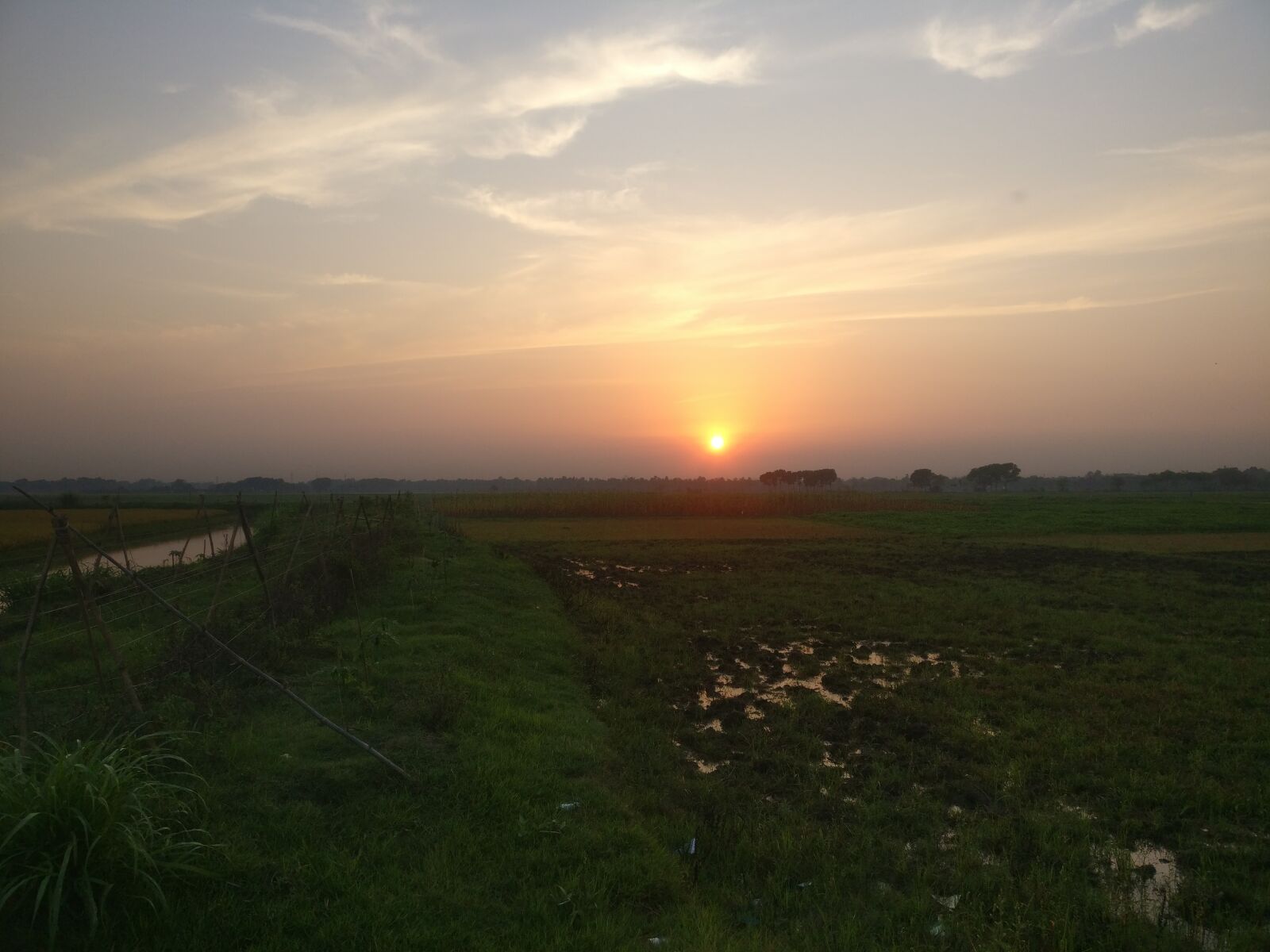 OnePlus A3003 sample photo. Sky, yellow sky, sun photography