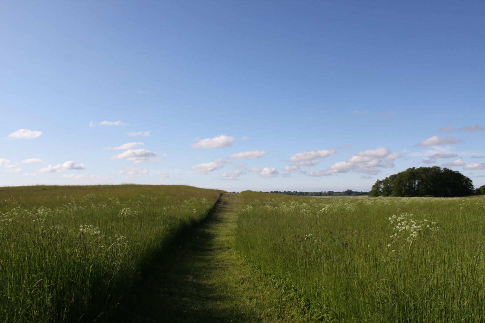 Canon EOS 50D sample photo. On the country, landscape photography