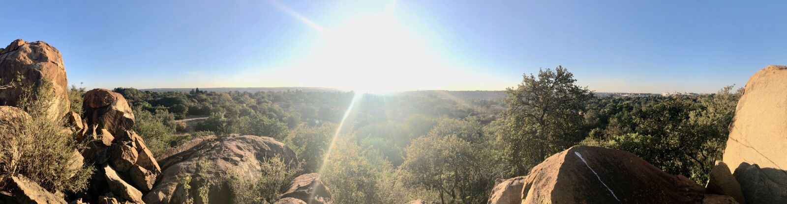 iPhone X back camera 4mm f/1.8 sample photo. Fourways, johannesburg, bush in photography