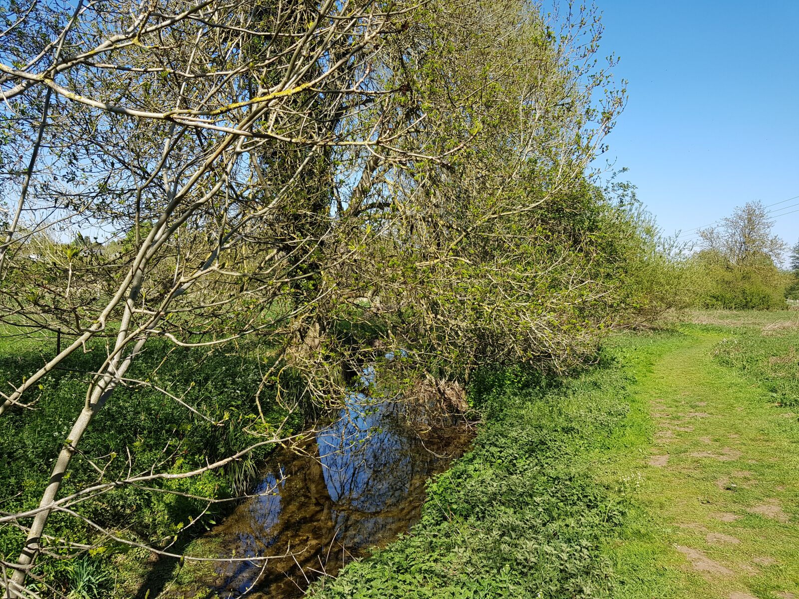 Samsung Galaxy S8 sample photo. River, countryside, trees photography