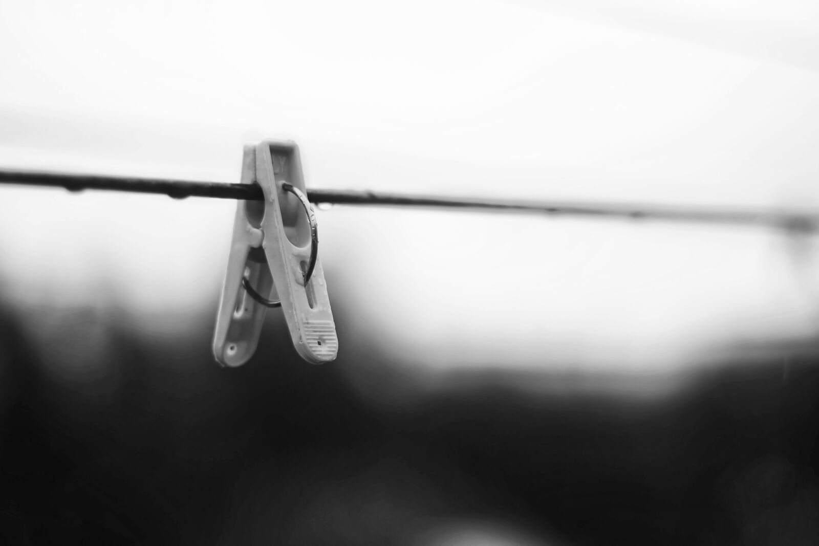 Canon EOS 500D (EOS Rebel T1i / EOS Kiss X3) + Canon EF 50mm F1.8 II sample photo. Alone, black, and, white photography