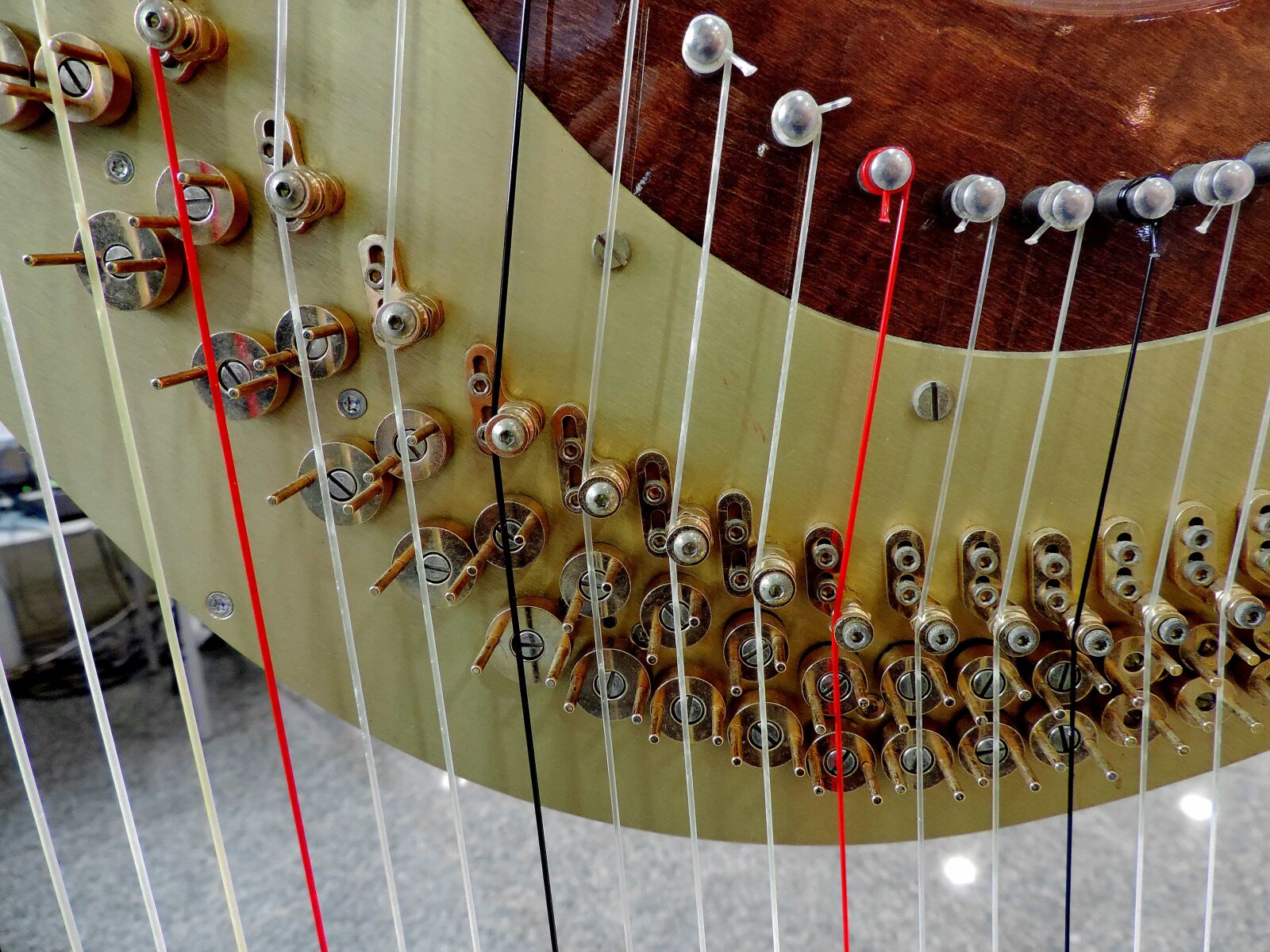 Nikon Coolpix P520 sample photo. Sound, music, wood, acoustic photography