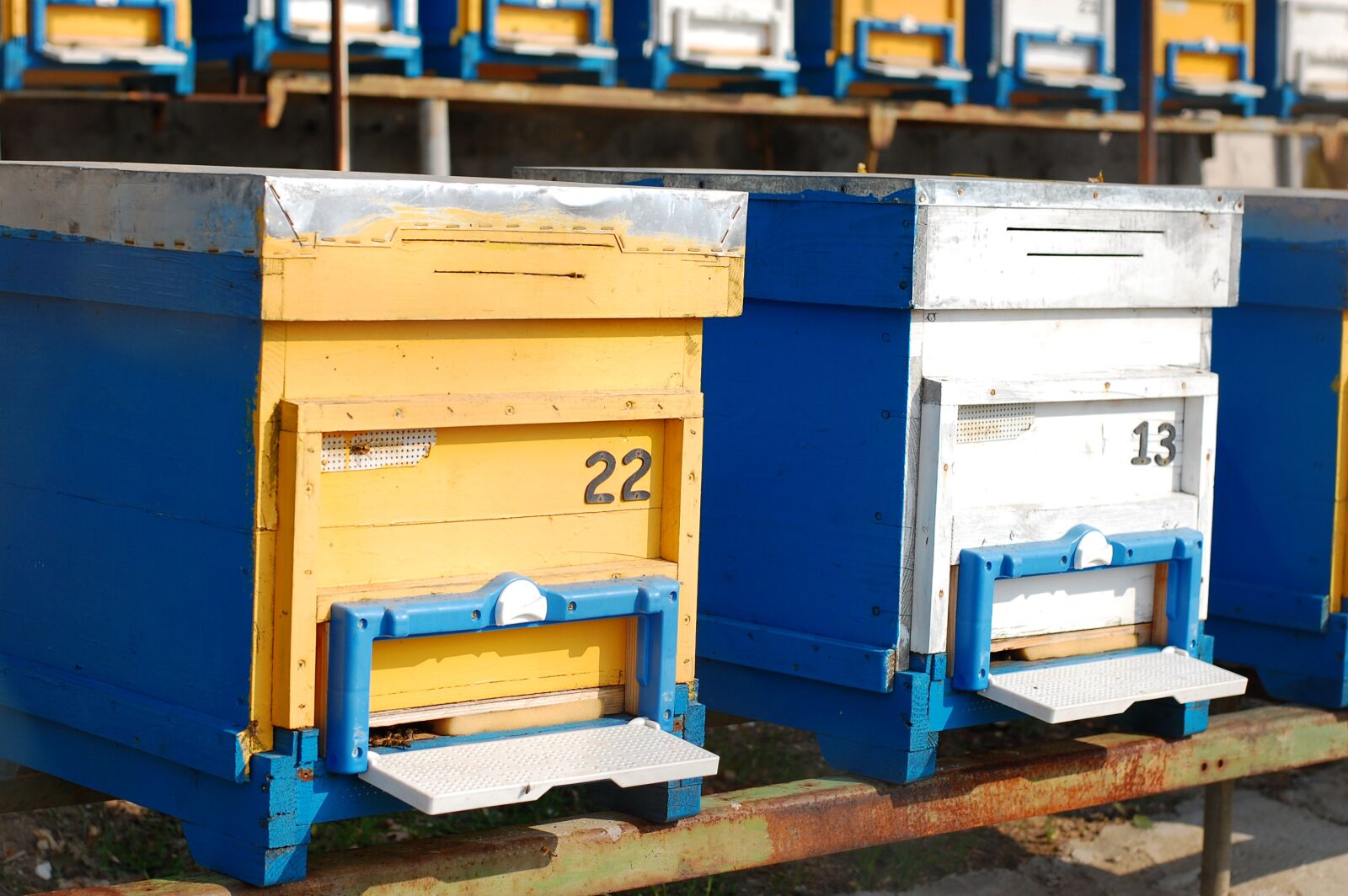 Nikon D40 sample photo. Hives, bees, beekeeping photography