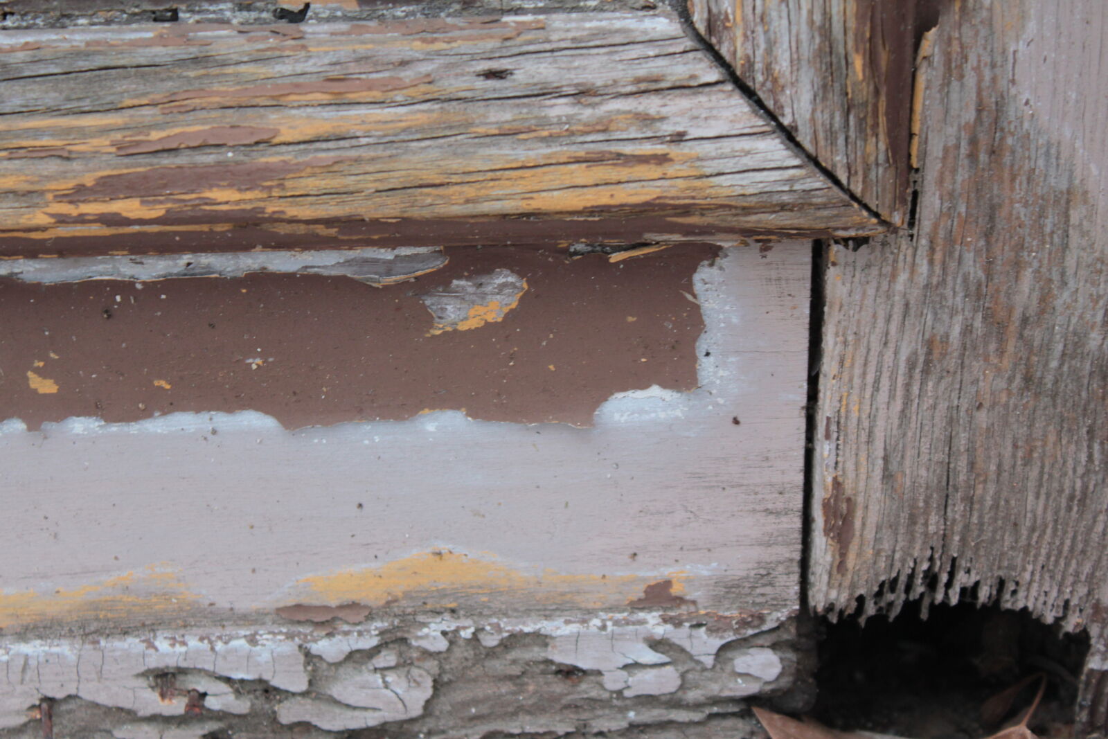 Canon EOS 550D (EOS Rebel T2i / EOS Kiss X4) sample photo. Broken, wood photography