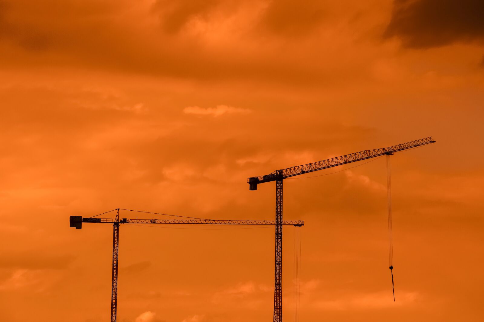 Nikon D3300 sample photo. Cranes, sunset, sky photography