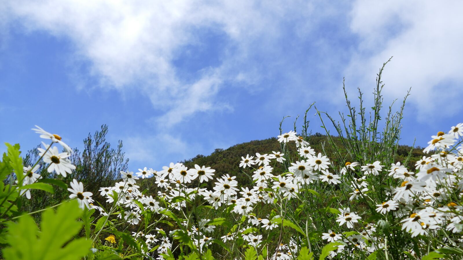 Panasonic Lumix DMC-FZ1000 sample photo. Madeira, mountains, sky photography
