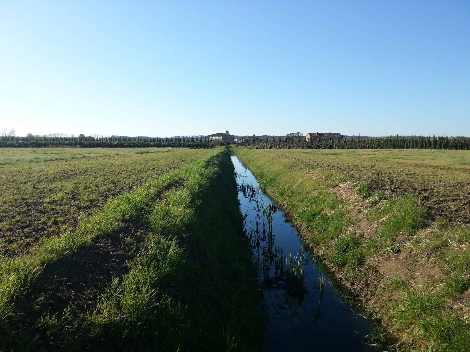 Samsung Galaxy S3 sample photo. Irrigation, canal, nature, grass photography
