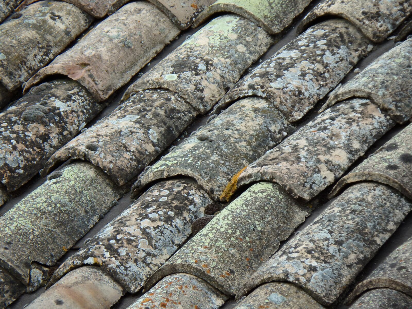 Olympus SP-100EE sample photo. Tiles, roofs, brick photography