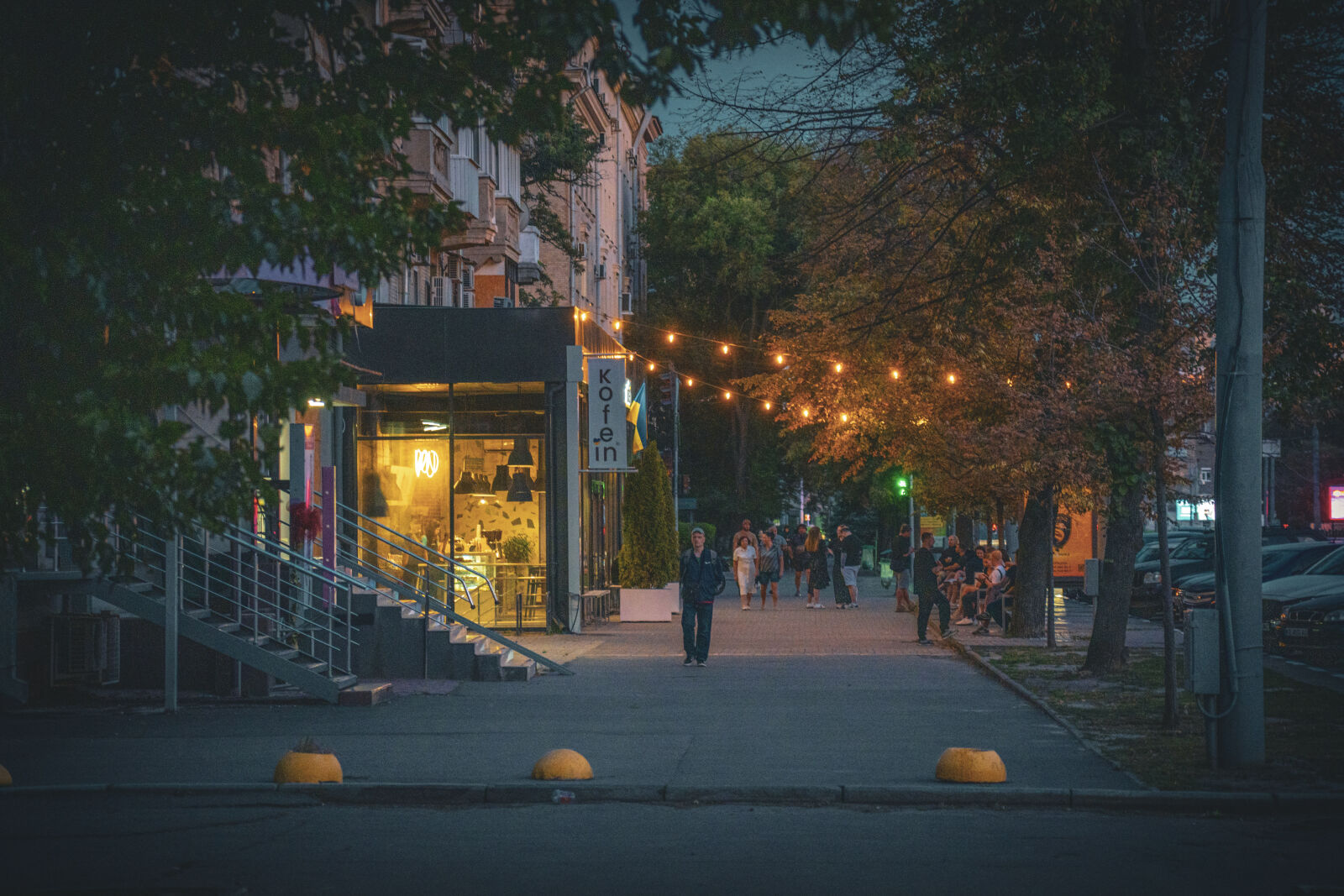 Sony a7 IV sample photo