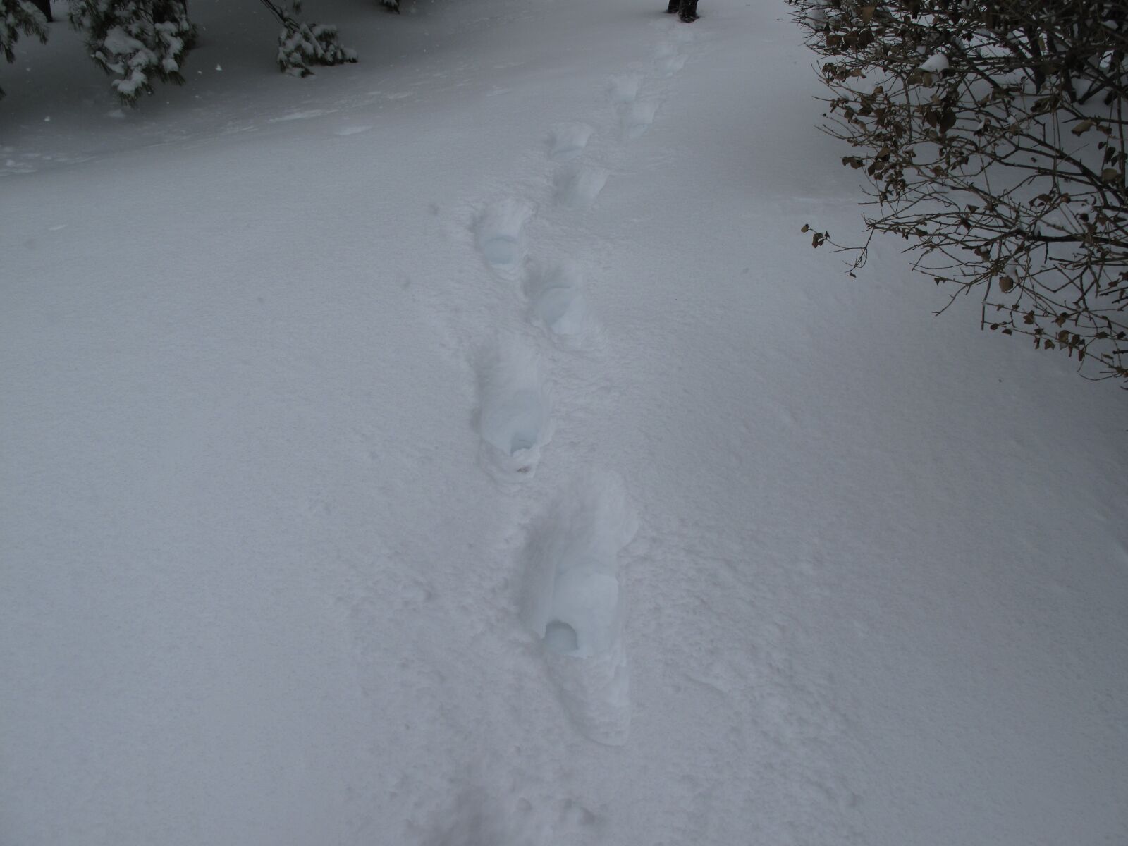 Canon PowerShot G10 sample photo. Footprints, journey, path photography