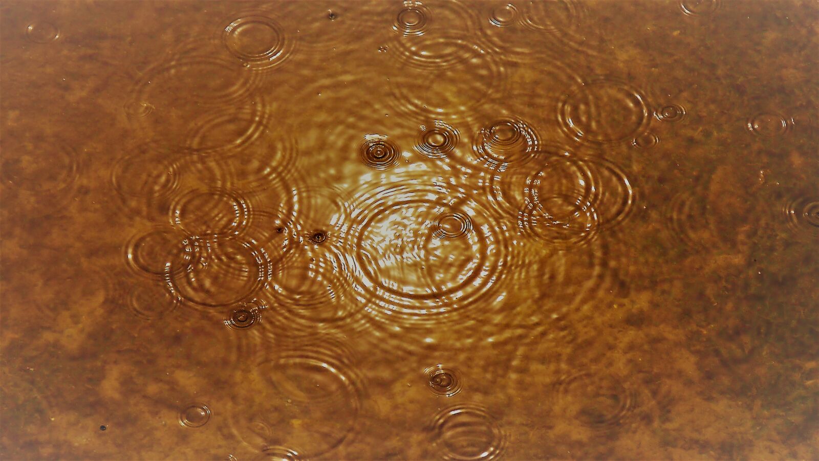 Panasonic Lumix DMC-G3 sample photo. Rain, water, mood photography