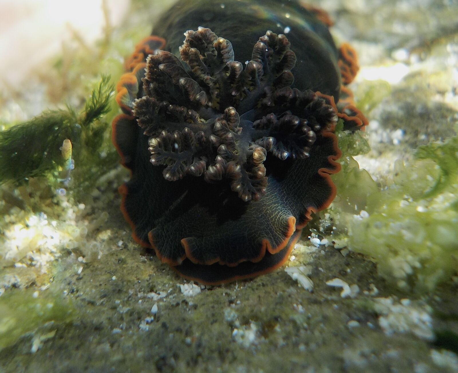 Nikon Coolpix S33 sample photo