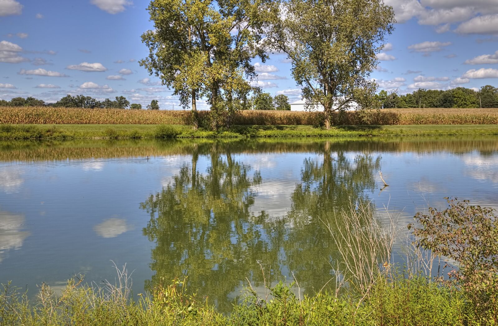 Canon EOS 5D Mark II sample photo. Scenery, trees, artistic photography