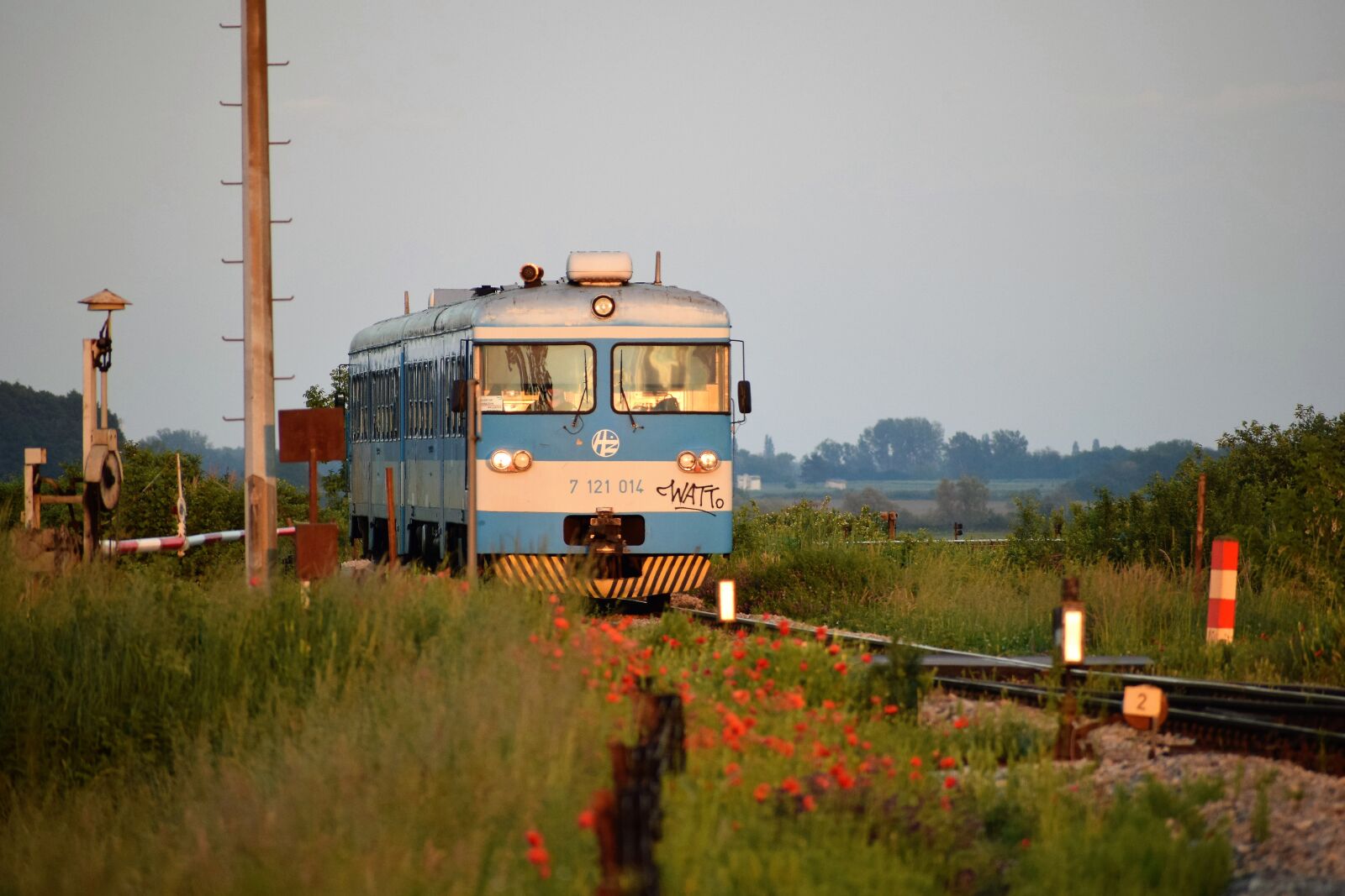 Nikon D3300 sample photo. Train, railway, red poppys photography