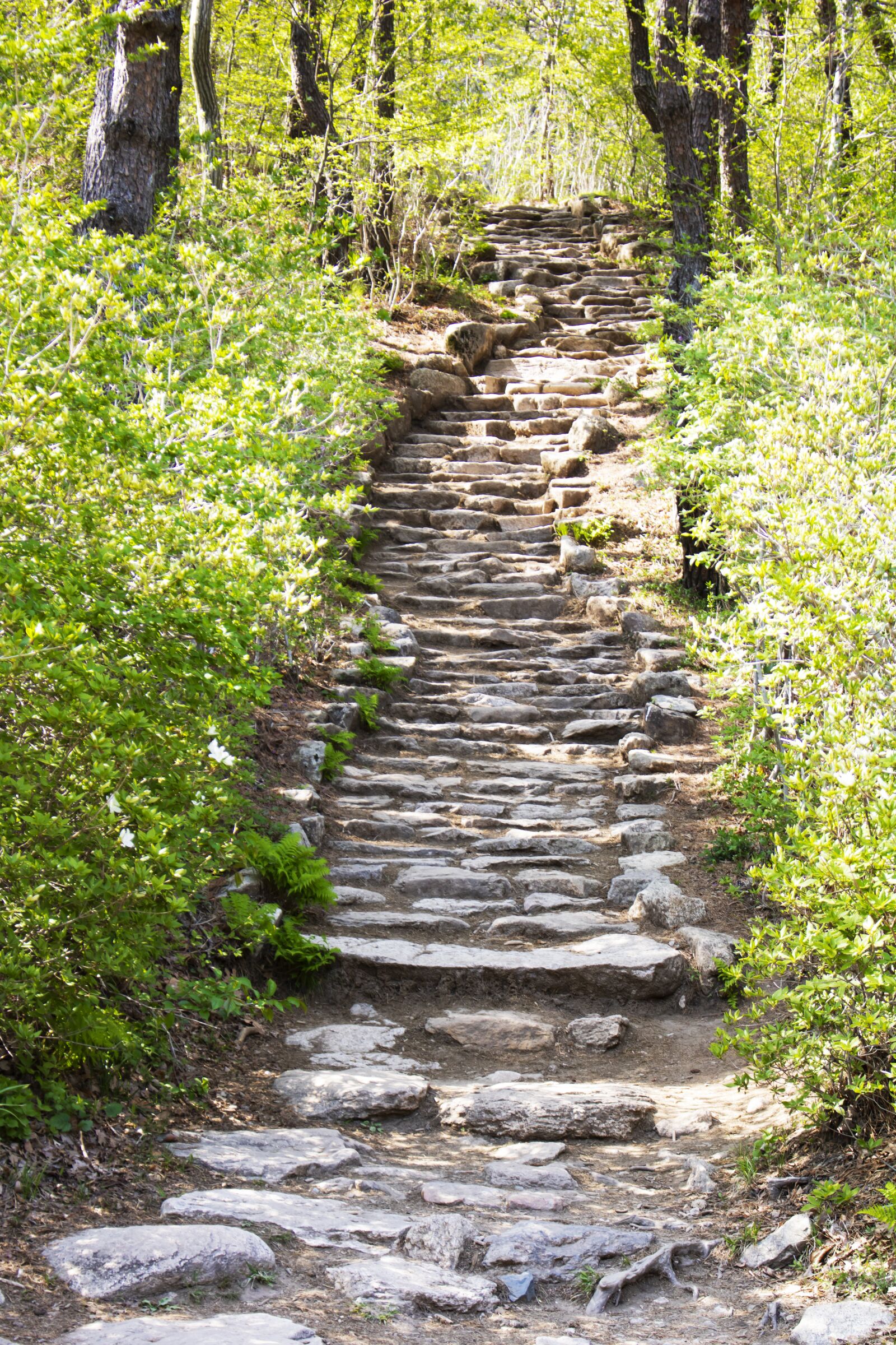 Canon EOS 750D (EOS Rebel T6i / EOS Kiss X8i) sample photo. Road, walk, mountain photography