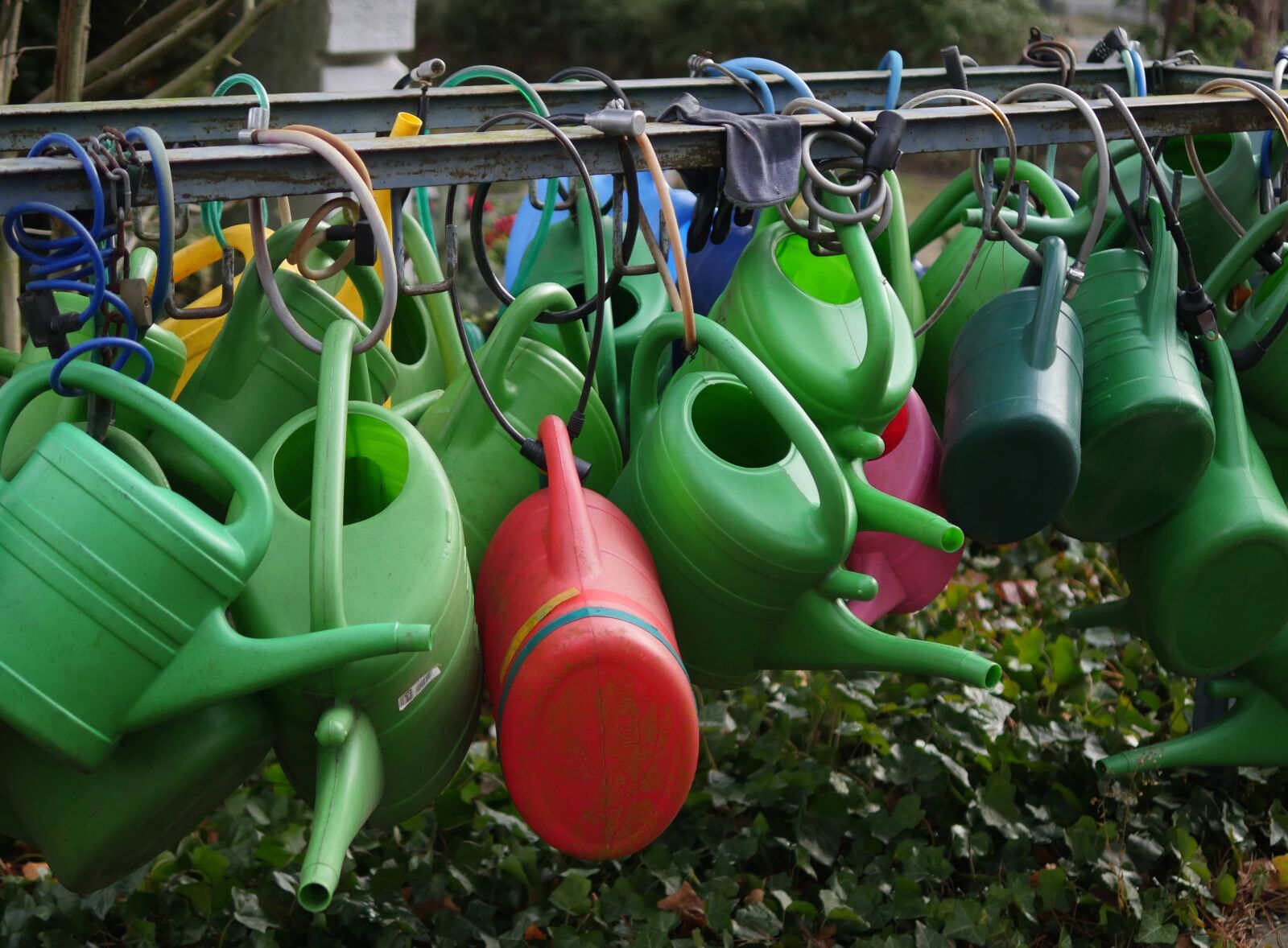 Panasonic Lumix DMC-GX8 sample photo. Watering cans, colorful, irrigation photography