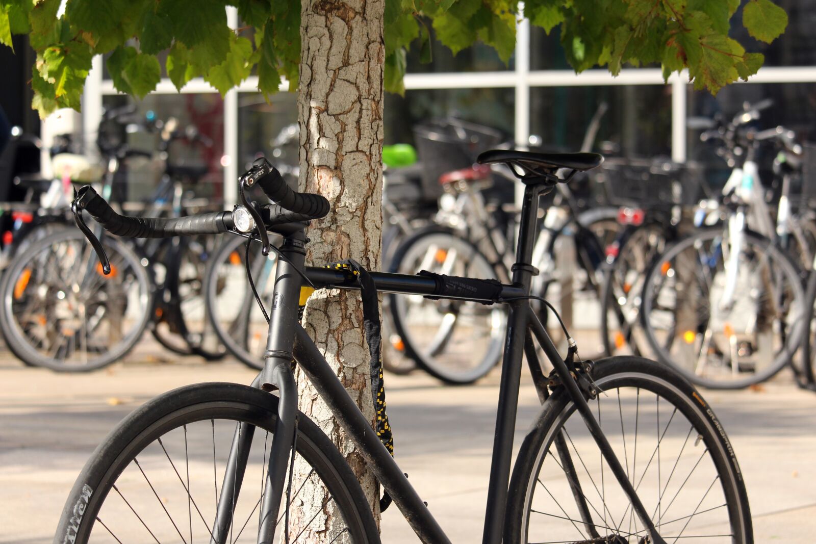Canon EF-S 55-250mm F4-5.6 IS STM sample photo. Bicycles, bike city, students photography