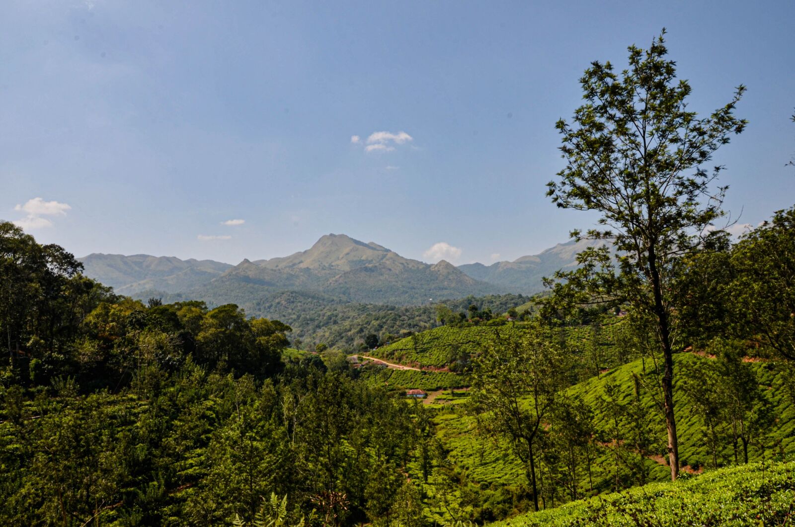 Nikon D7000 sample photo. Beautiful landscape, blue sky photography