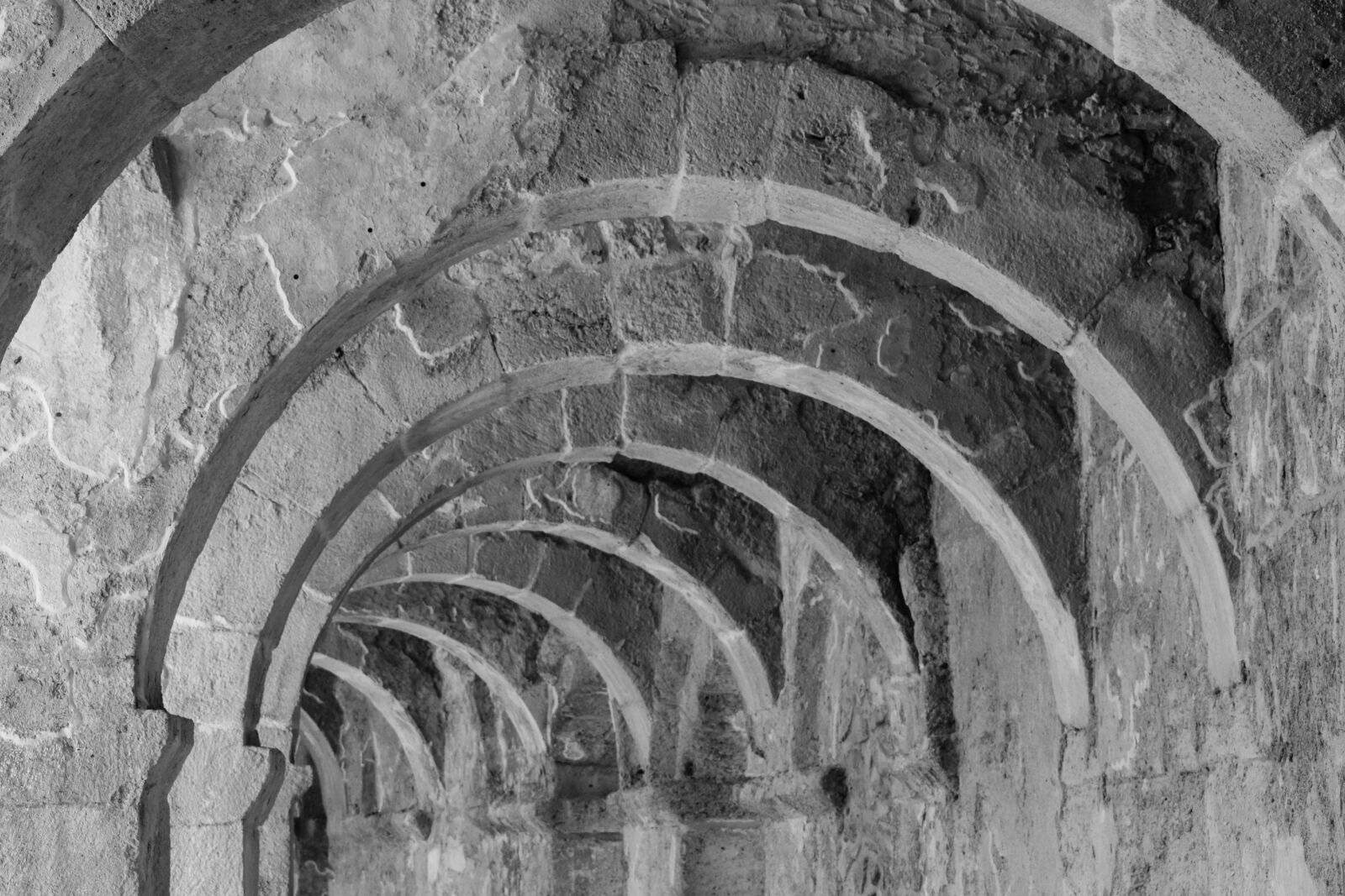 Nikon D5300 sample photo. Architecture, arches, building photography