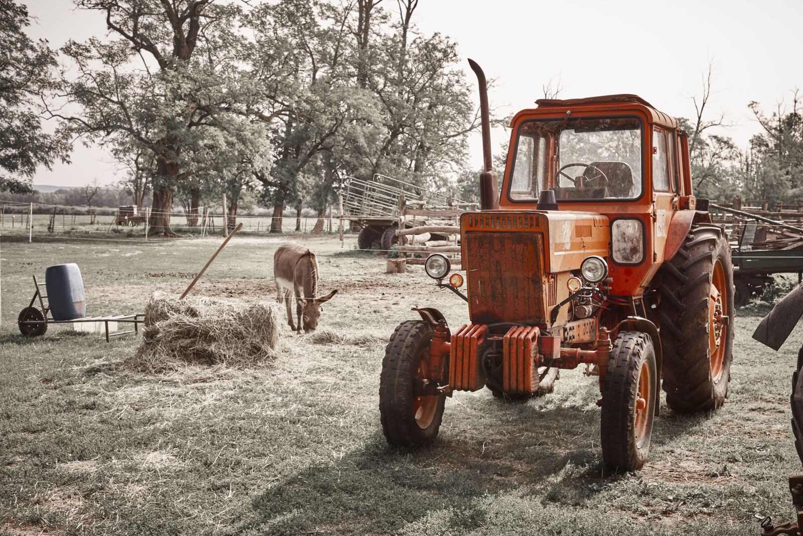 Nikon AF-S Nikkor 50mm F1.4G sample photo. Tractor, farm, donkey photography