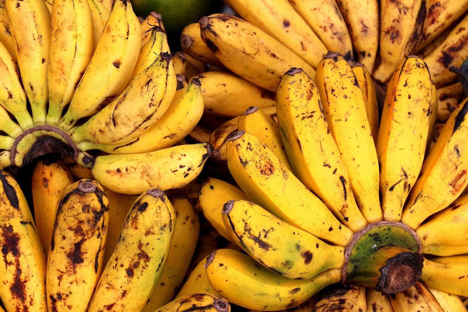 Canon EOS 700D (EOS Rebel T5i / EOS Kiss X7i) sample photo. Bananas, fruits, assortment photography