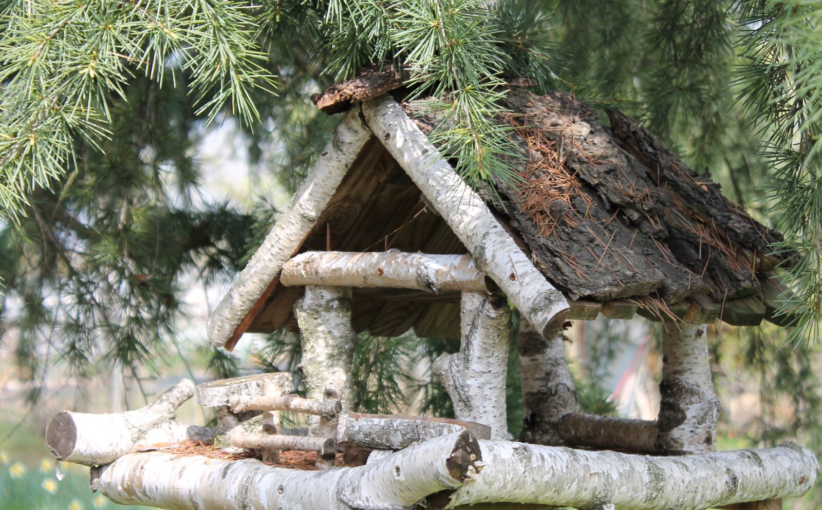 Canon EOS 1100D (EOS Rebel T3 / EOS Kiss X50) sample photo. Nest, tree, wood photography