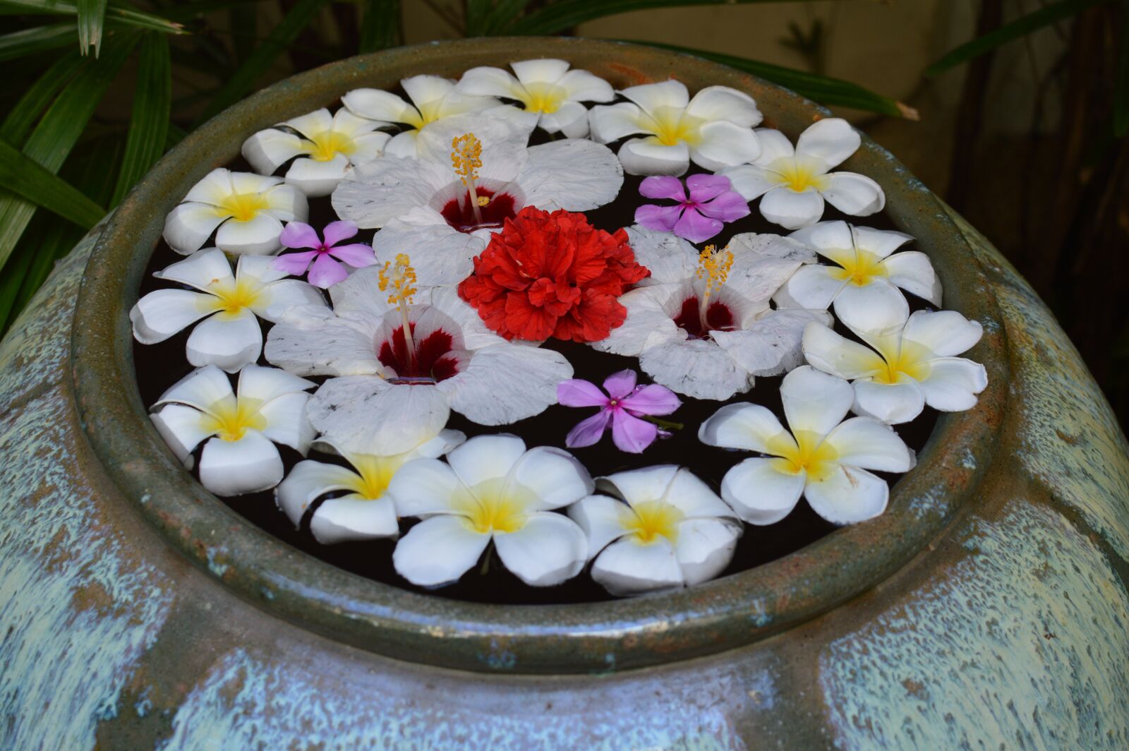 Nikon D3200 sample photo. Asia, thailand, relax photography