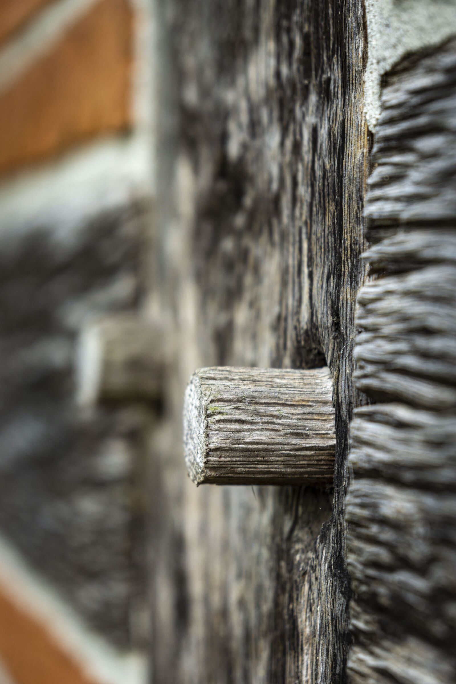 Sony a6000 + Sony Vario-Tessar T* E 16-70mm F4 ZA OSS sample photo. Wood, truss, wooden nail photography