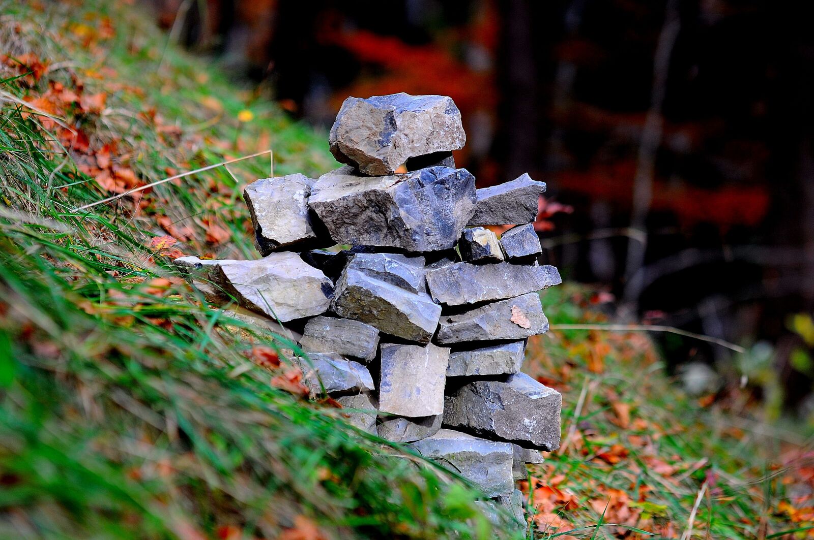 Nikon D90 sample photo. Cairn, stones, forest photography