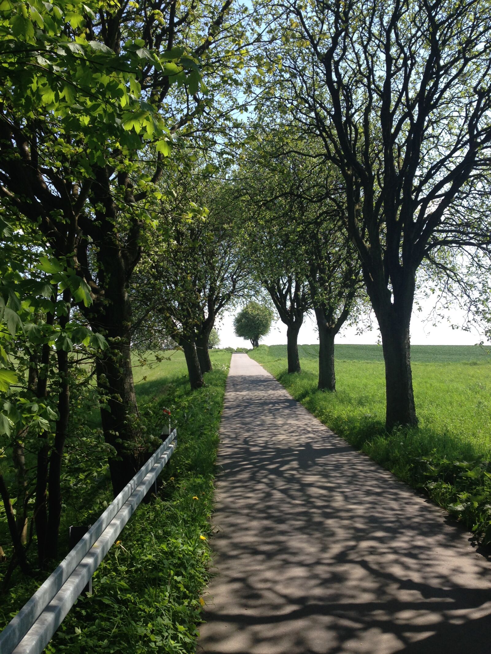 Apple iPhone 5 sample photo. Country, road, denmark, spring photography