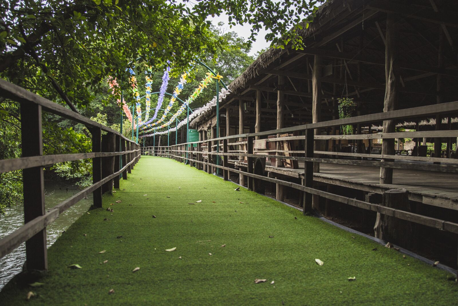 Canon EOS 6D + Canon EF 24-105mm F4L IS USM sample photo. Elephant, suspension bridges, trees photography