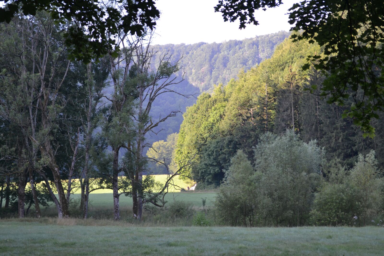 Nikon D3100 sample photo. Meadow, morgenstimmung, landscape photography